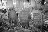 Alter jüdischer Friedhof am Zentralfriedhof Wien