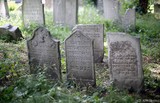 Jüdischer Friedhof Währing Rundgang
