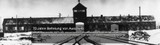 70 Jahre Befreiung des KZ Auschwitz 