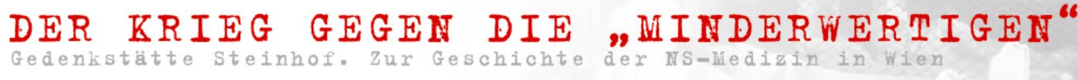 Logo steinhof.jpg