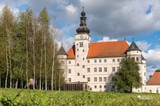 Im Lern- und Gedenkort Schloss Hartheim werden immer am ersten Sonntag des Monats von 14:30 bis 16:00 Uhr öffentliche Begleitungen durchgeführt. 