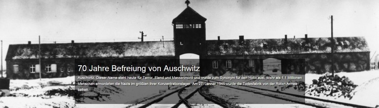 Bericht vol.at zur Befreiung von Auschwitz