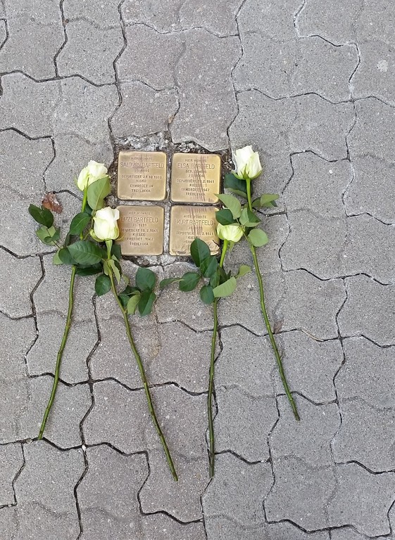 Gedenkstelle mit Rosen in der Wiener Neustädter Innenstadt