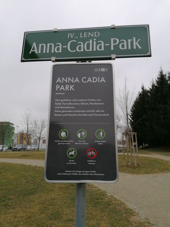 Cadia Park 2023.jpg