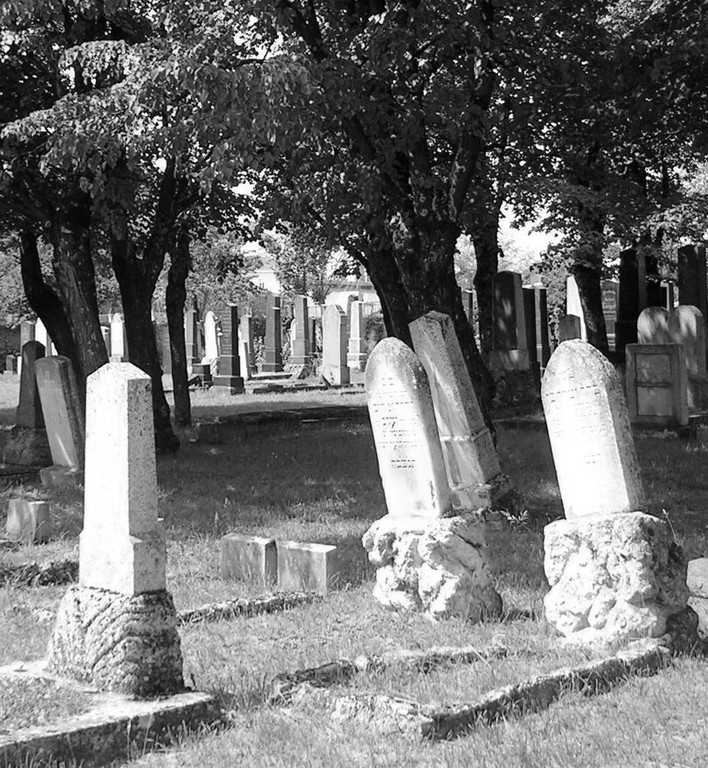 Jüdischer Friedhof Wr. Neustadt