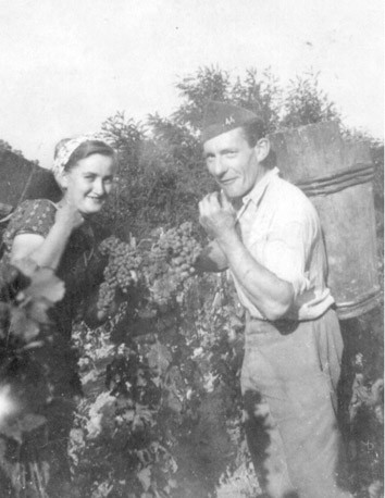 Ein belgischer Kriegsgefangener aus dem Stalag XVII B und eine österreichische Weinbäuerin bei der Arbeit im Weingarten (Sammlung Barbara Stelzl-Marx, Graz).