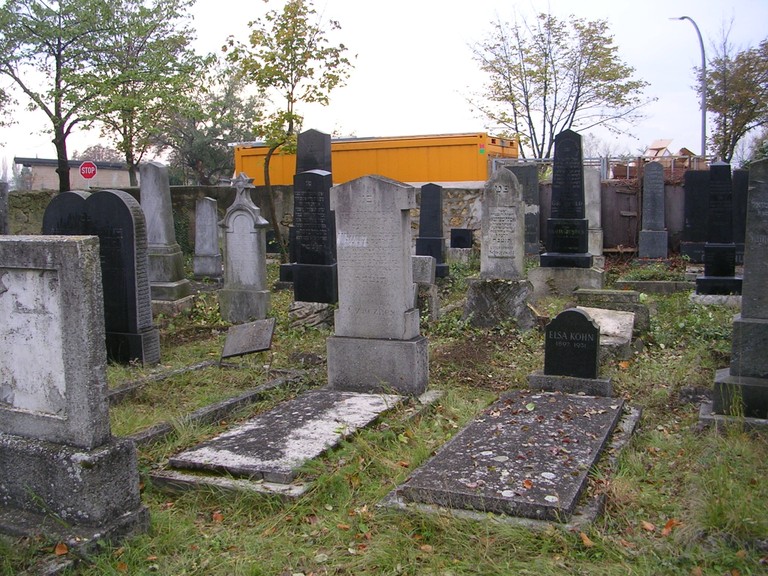 Der jüdische Friedhof nach der Pflege durch die Schüler/innen und engagierten Professor/innen