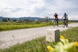 Fahrradfahrer am Rhein – an der Grenze zwischen Österreich und der Schweiz. (Quelle: Dietmar Walser)