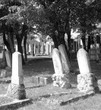 Jüdischer Friedhof in Wr. Neustadt