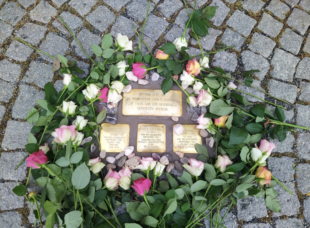 stolpersteine vor der uni.jpg