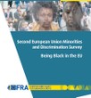 FRA-Studie: Rassismus ist für viele Schwarze in der EU Alltag